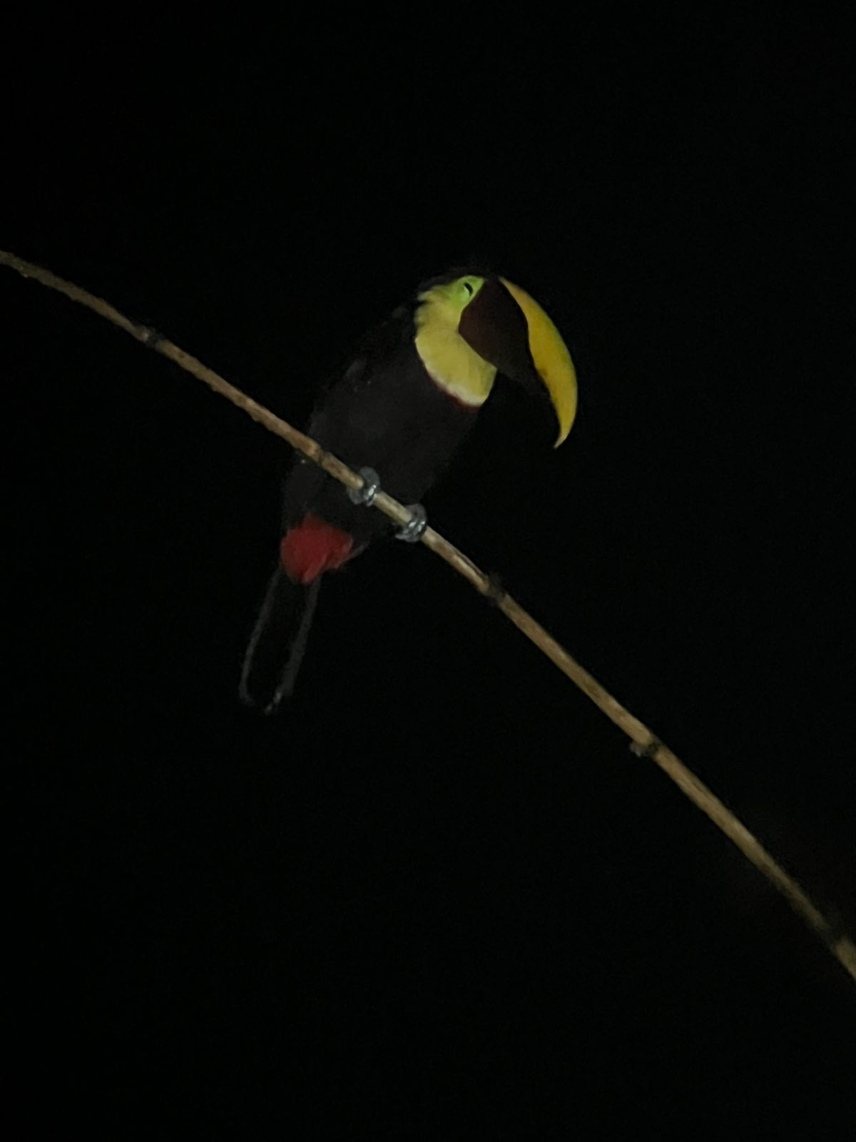 Costa Rica nature tour photo