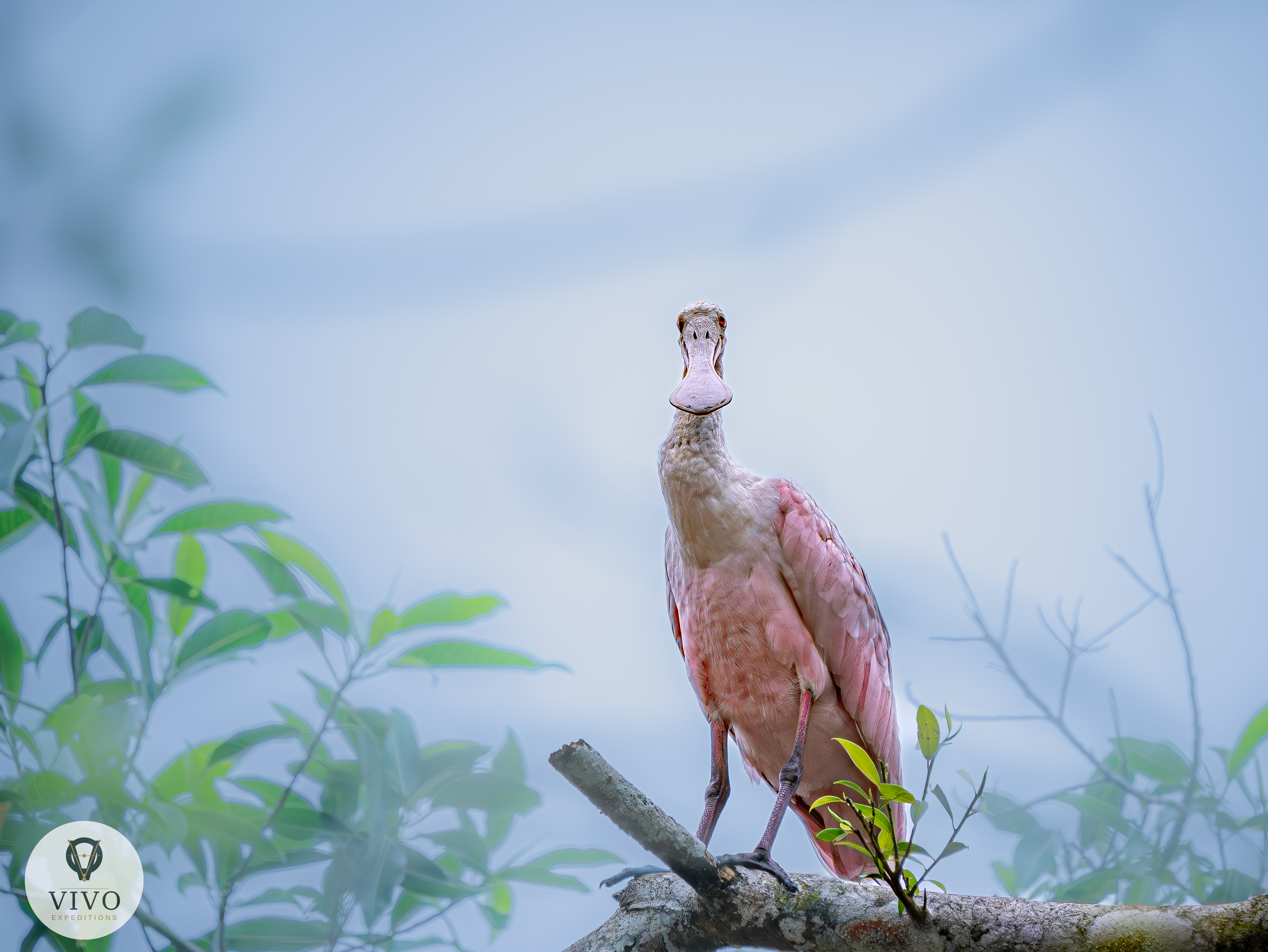 Costa Rica nature tour photo
