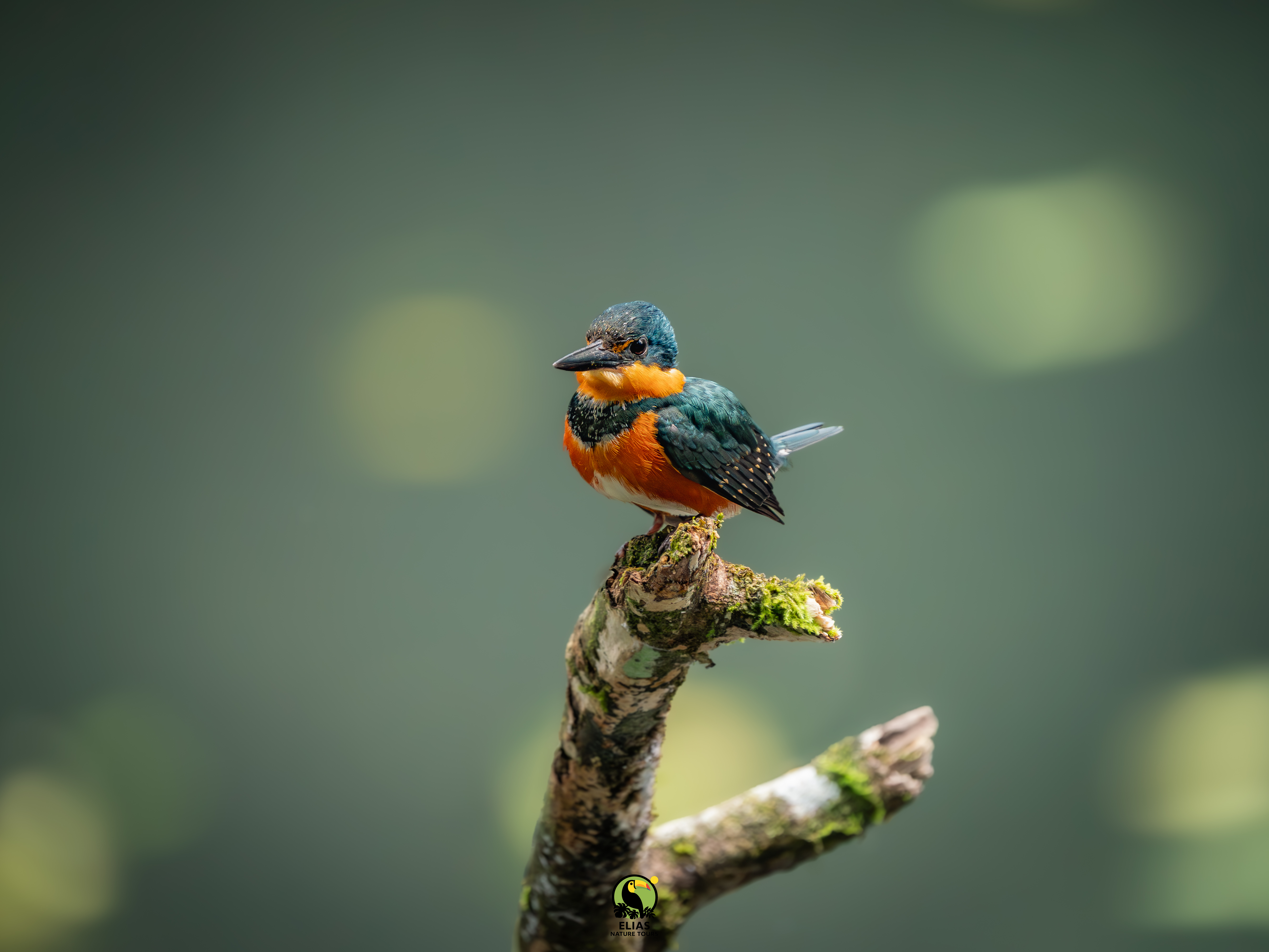 Costa Rica nature tour photo