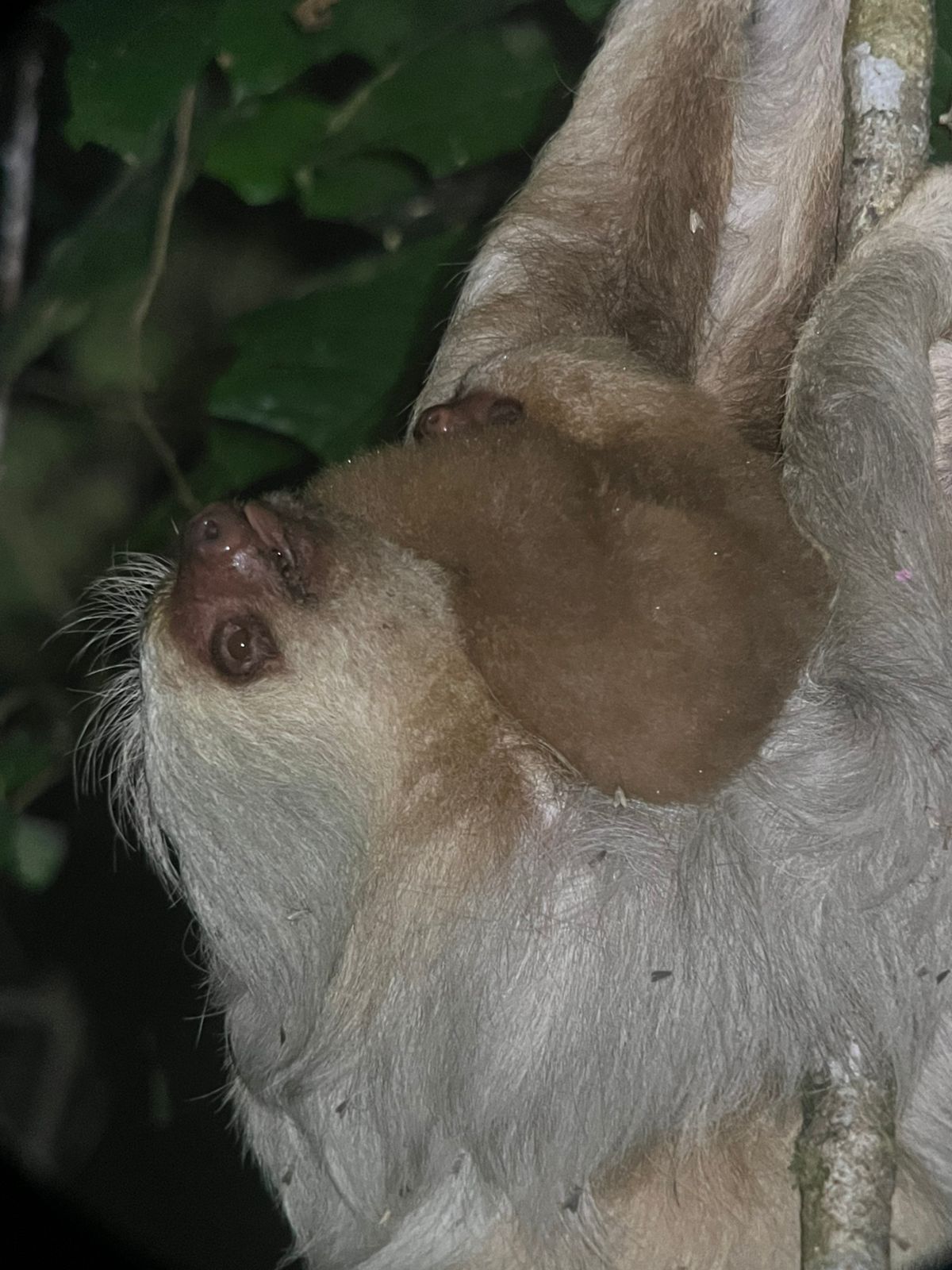 Costa Rica nature tour photo