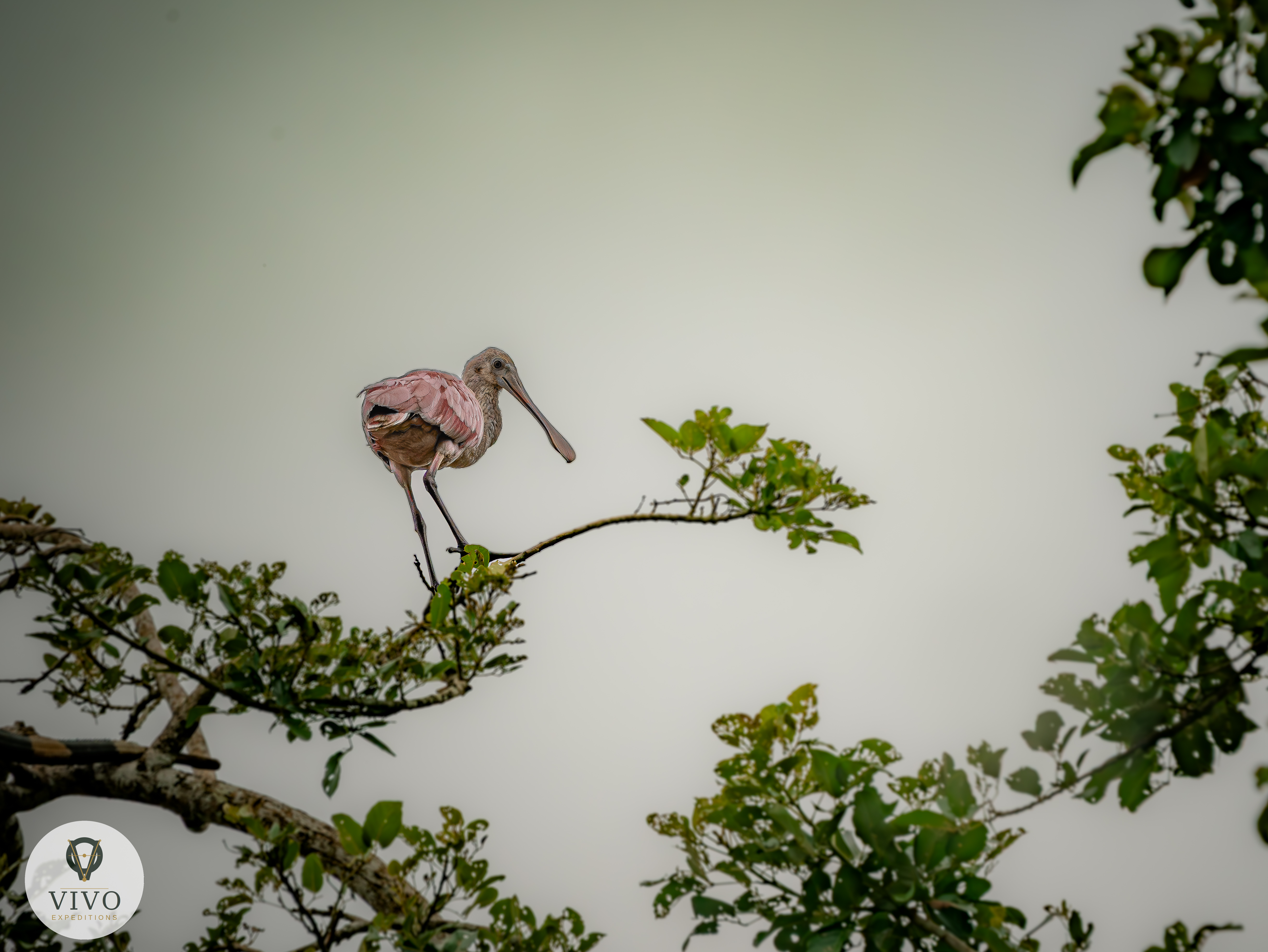 Costa Rica nature tour photo
