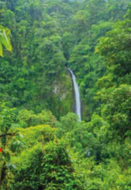 Costa Rica nature tour photo