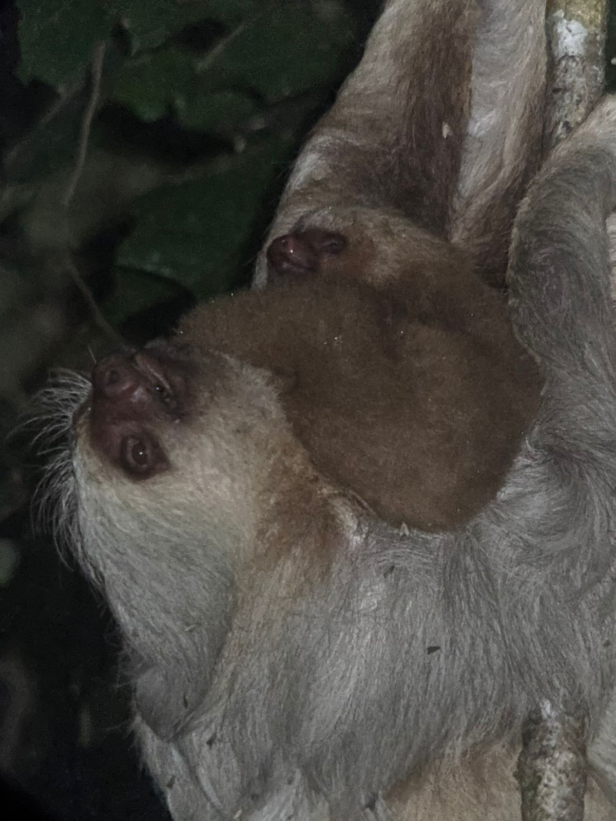 Costa Rica nature tour photo