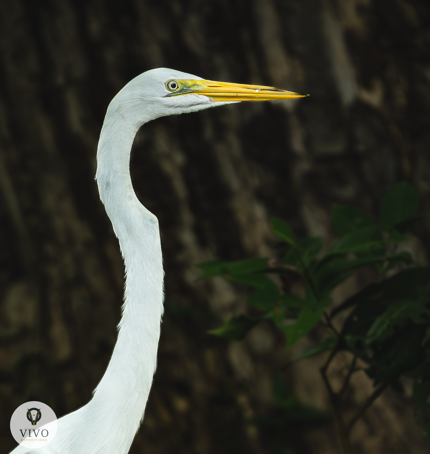 Costa Rica nature tour photo