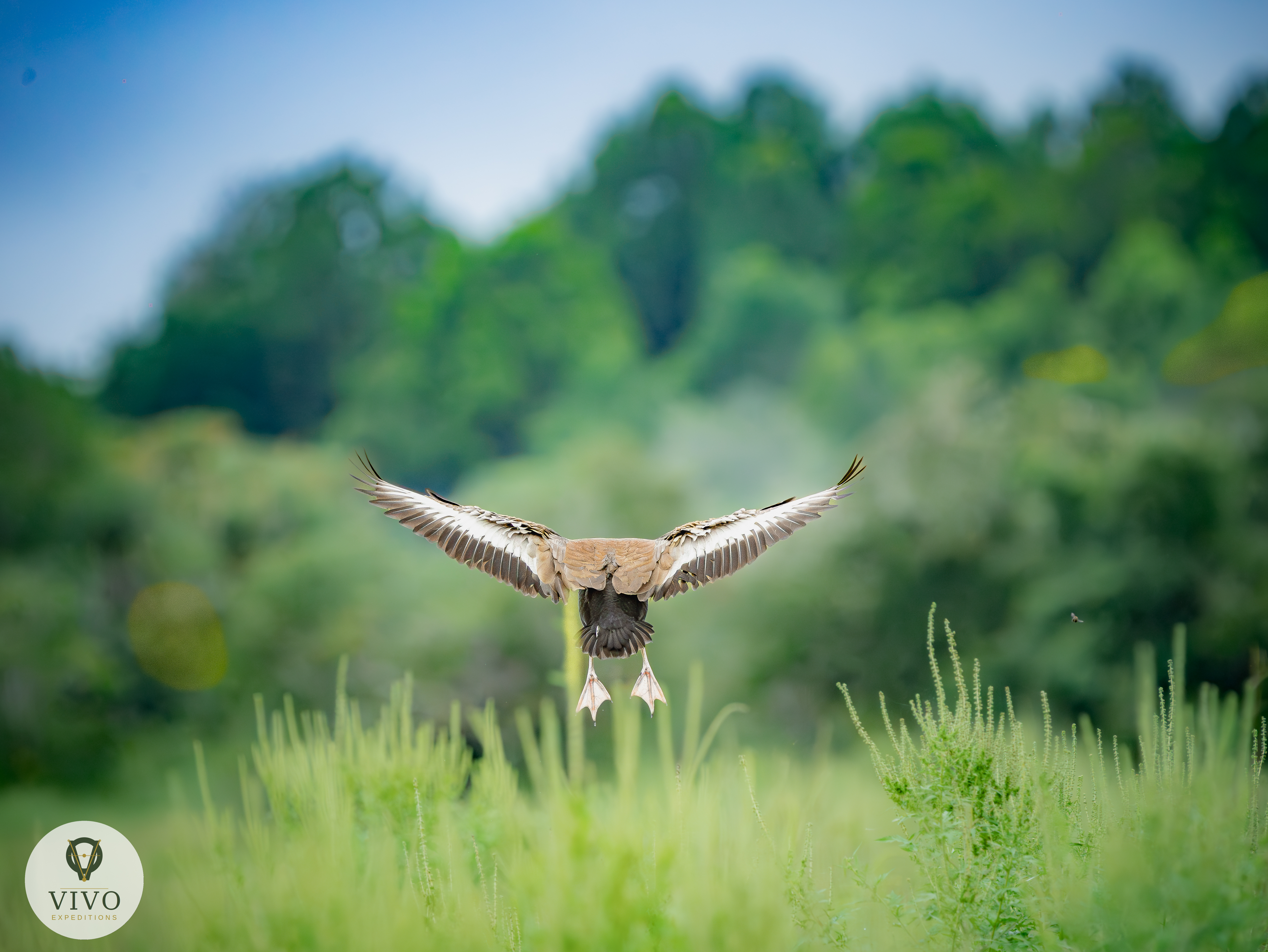 Costa Rica nature tour photo