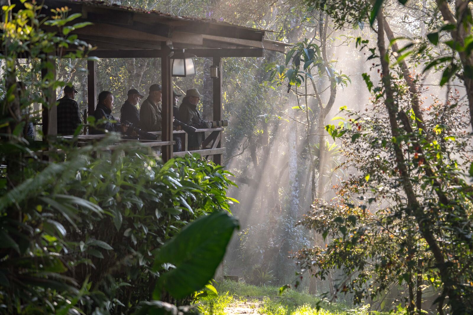 Shared spaces surrounded by forest