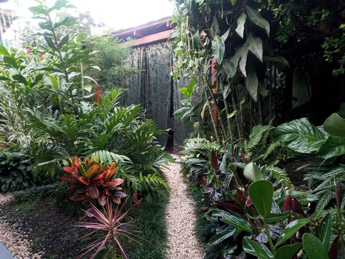 Tropical garden path at Bamboo Spa