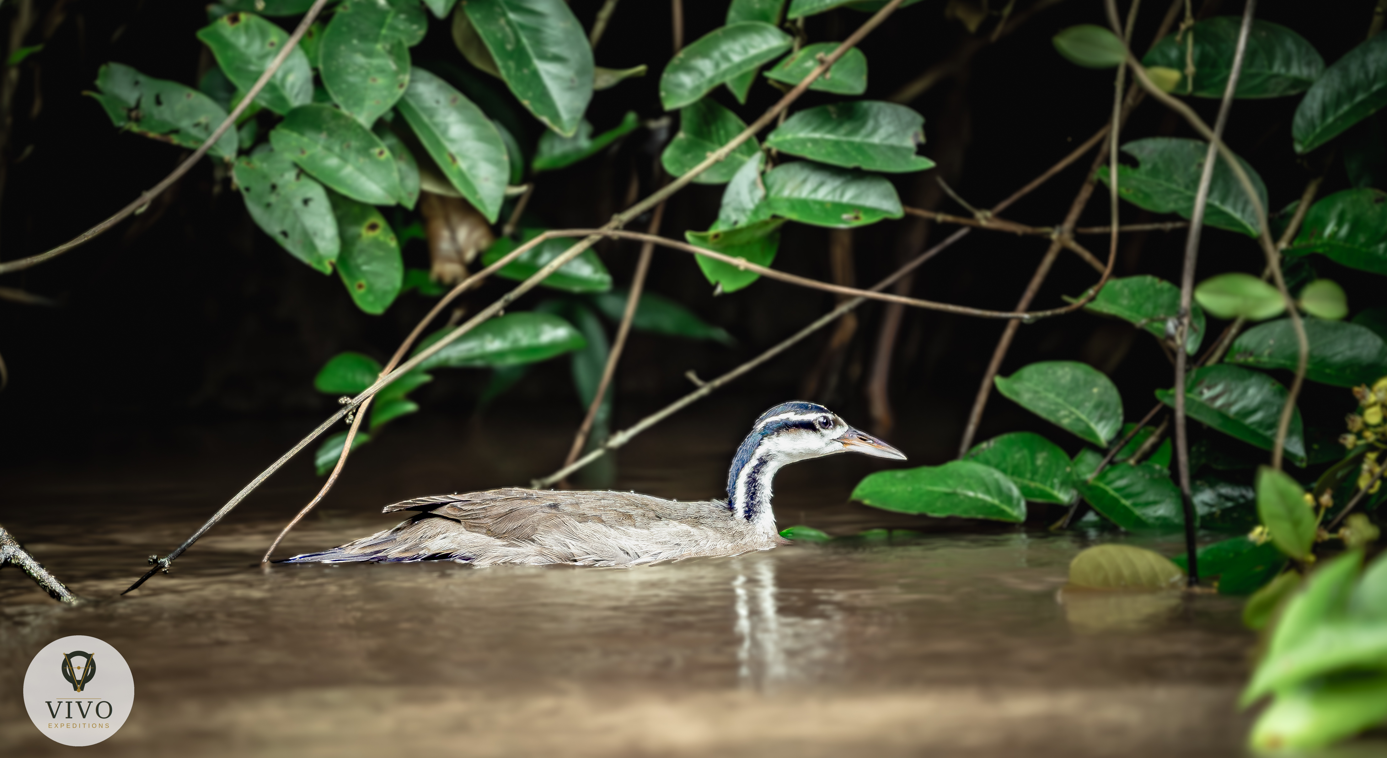 Costa Rica nature tour photo