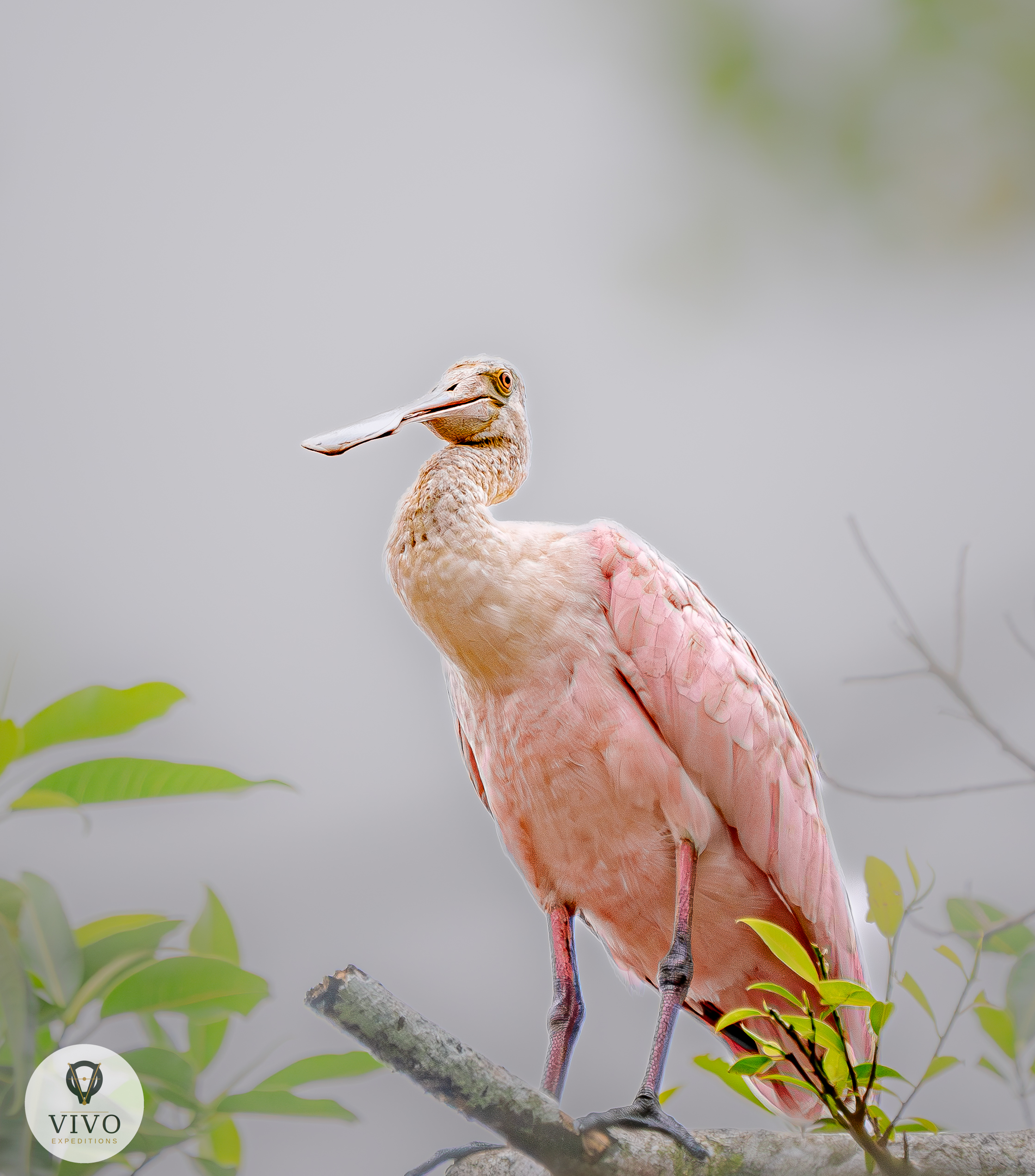 Costa Rica nature tour photo