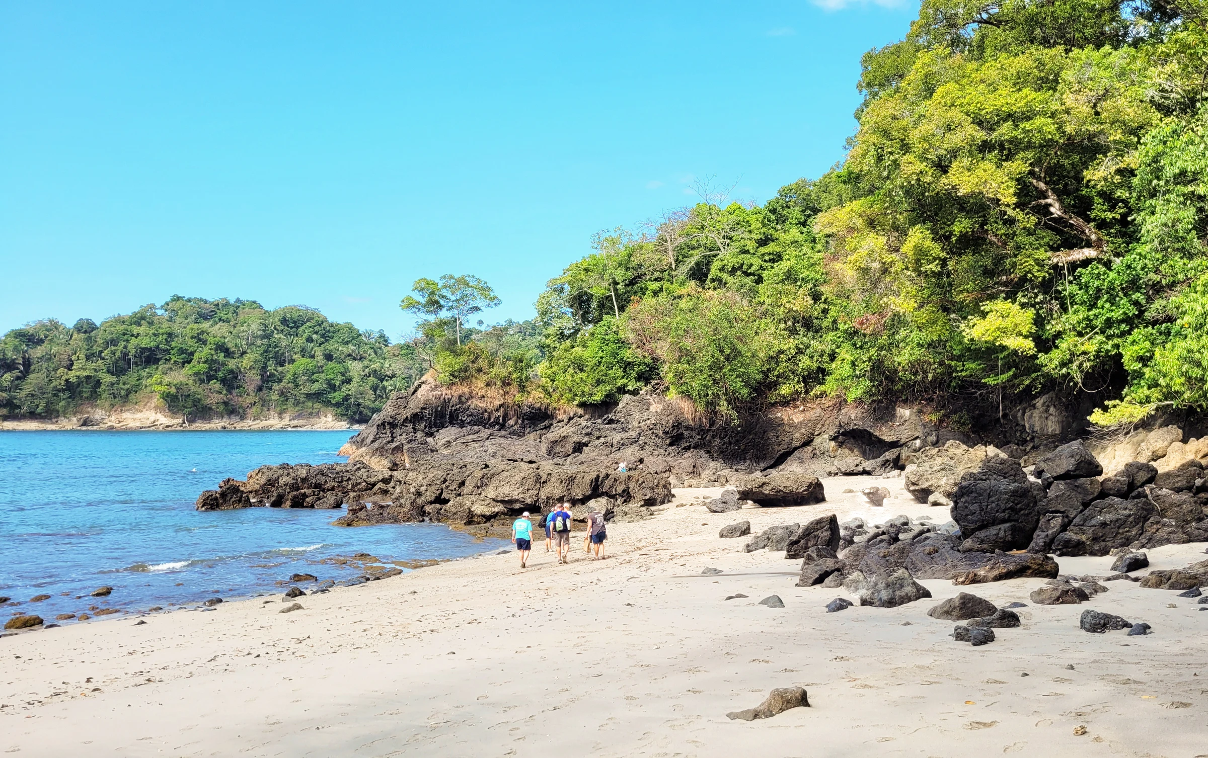 Beach and forest in Manuel Antonio National Park
