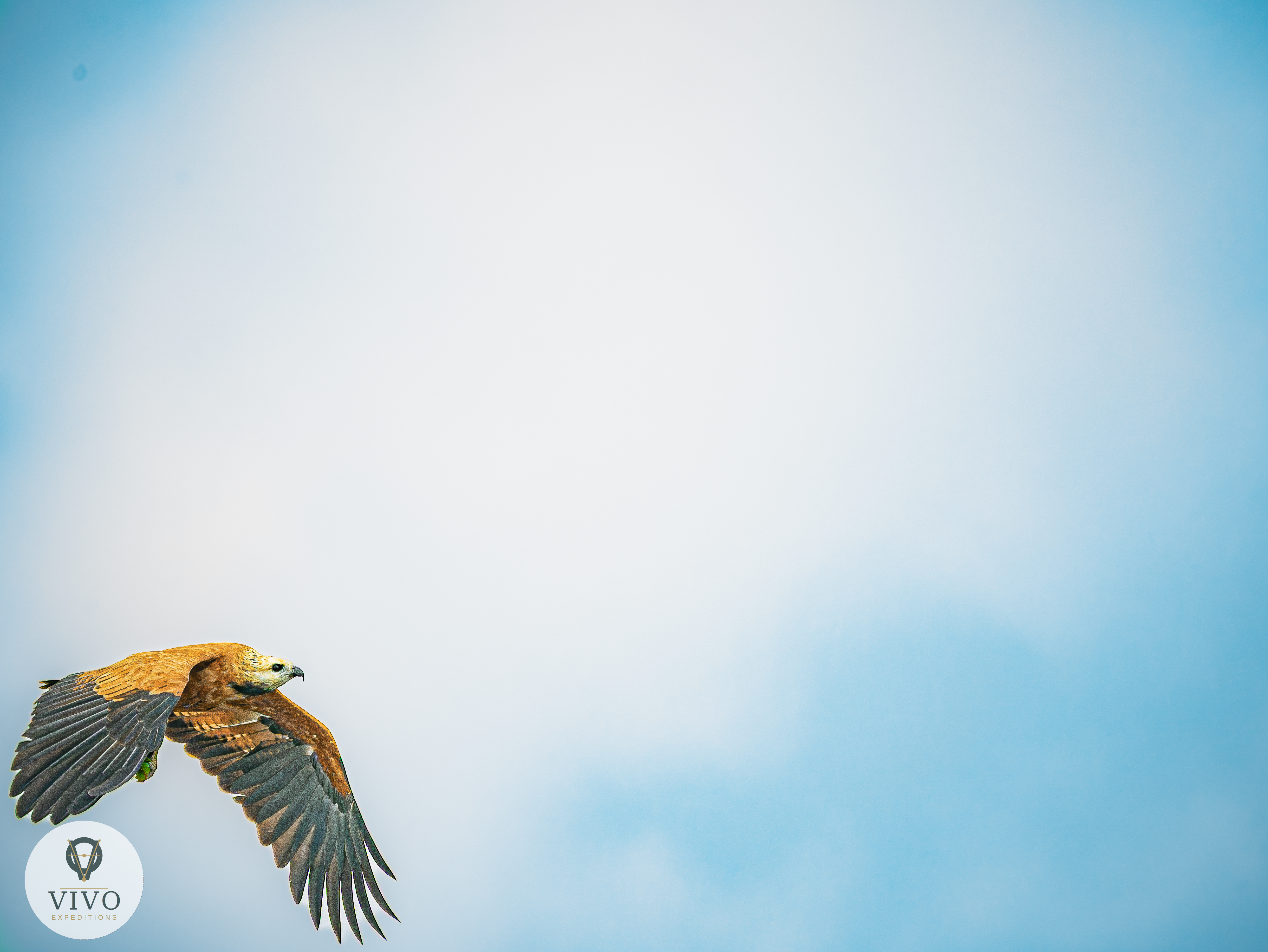 Costa Rica nature tour photo