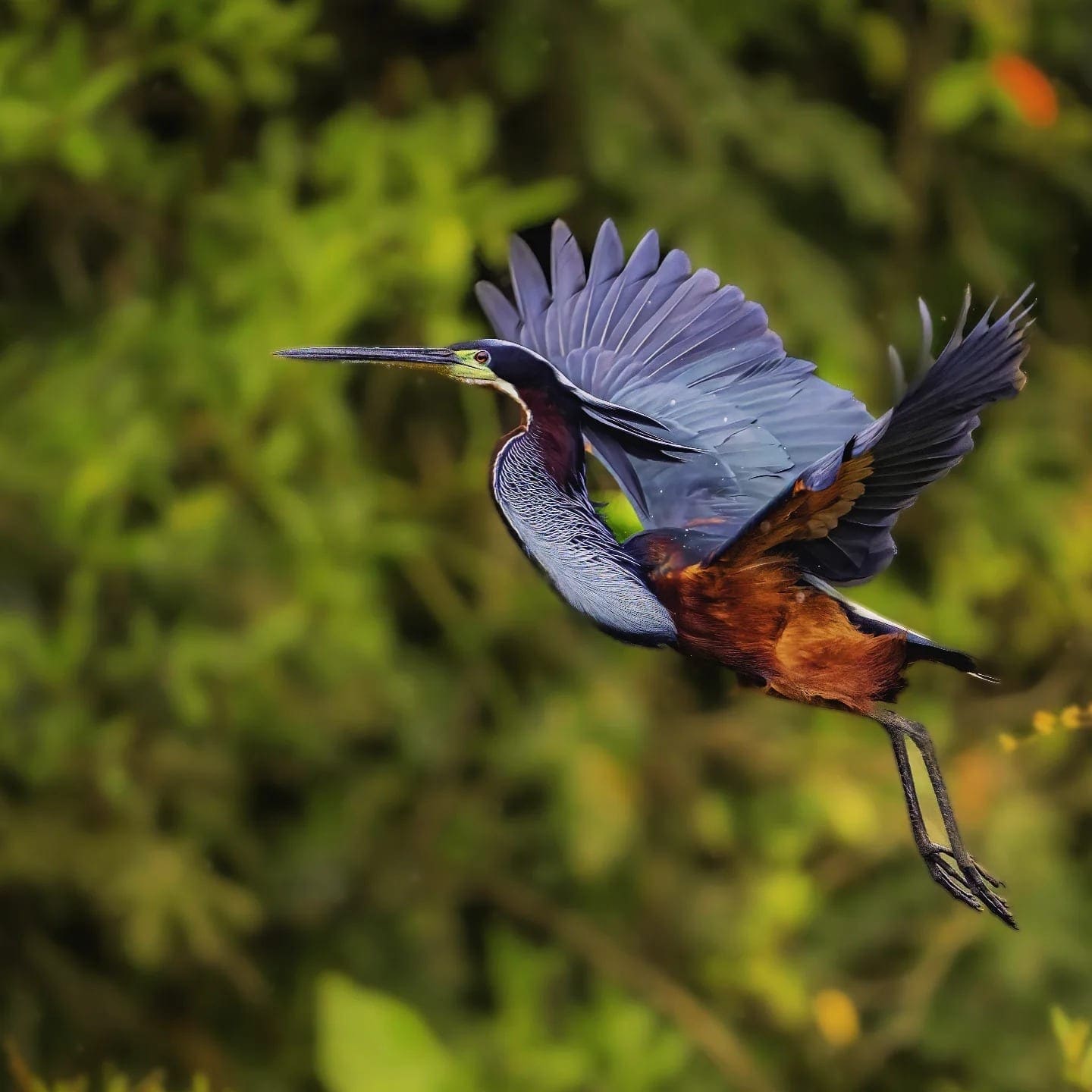 Costa Rica nature tour photo