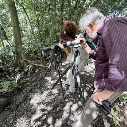 Birders with spotting scopes in Costa Rica forest