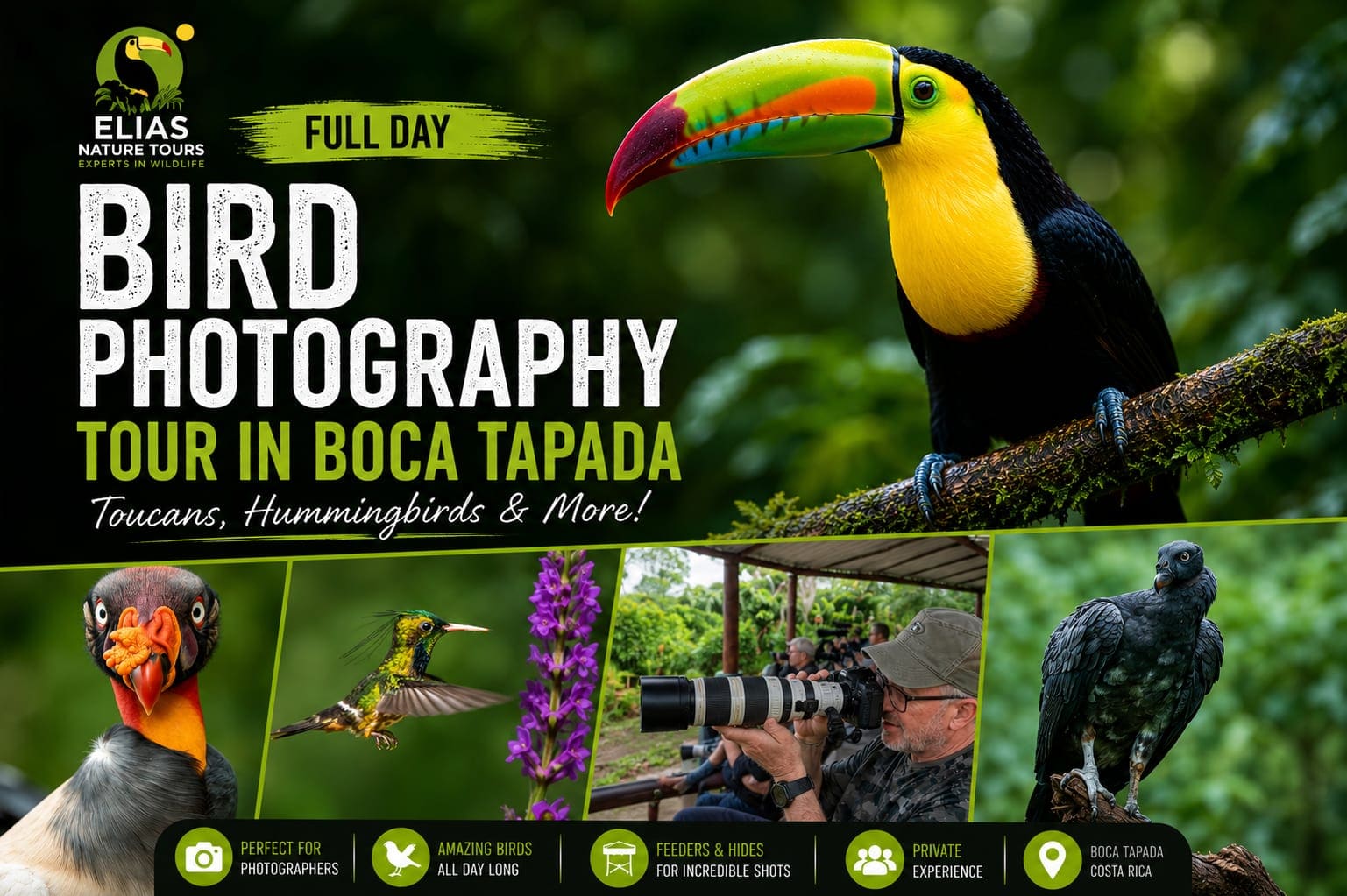 Boca Tapada full-day expedition — Great Green Macaws habitat