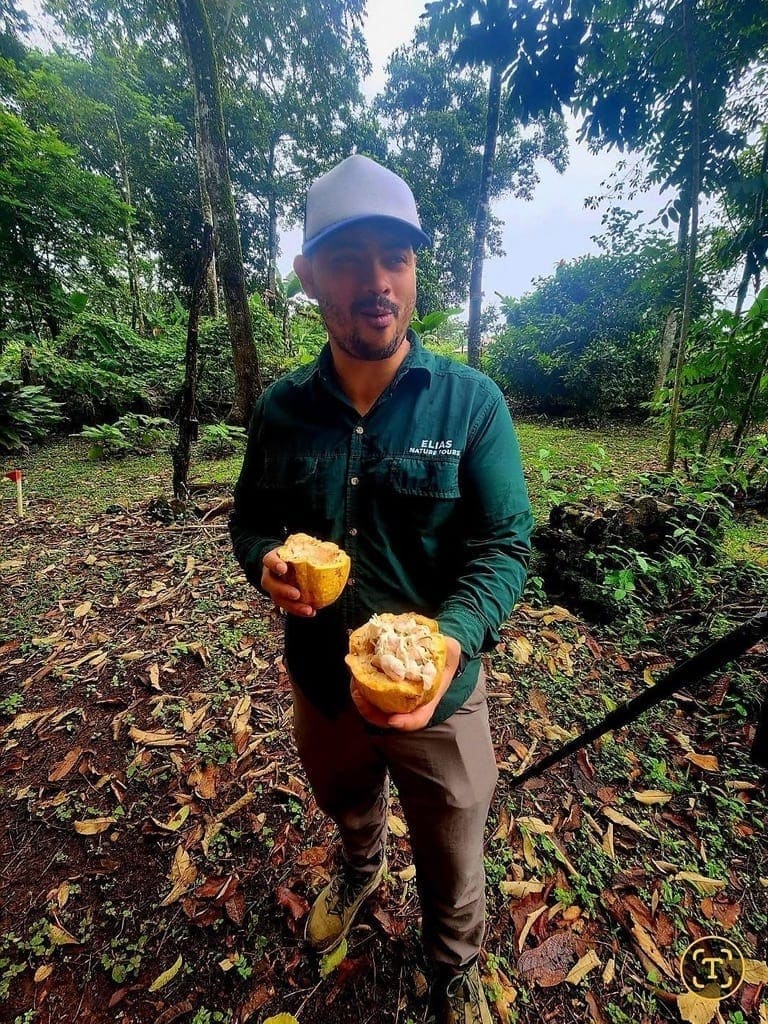 Ecocentro Danaus – Day Guided Rainforest Tour