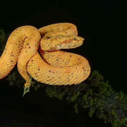Costa Rica nature tour photo