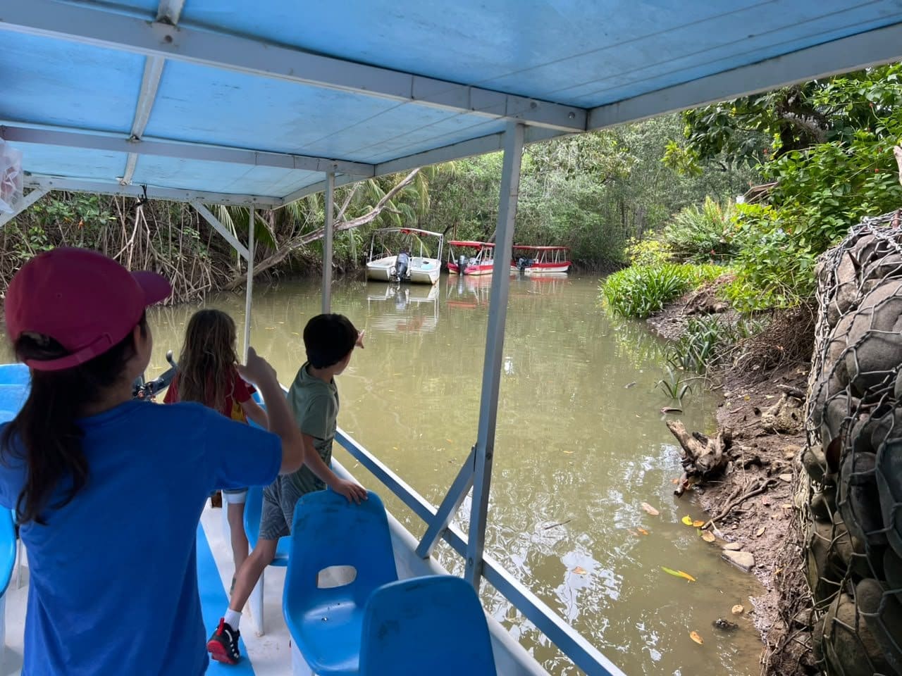 Family on a boat through the Damas Island mangrove channels, Costa Rica