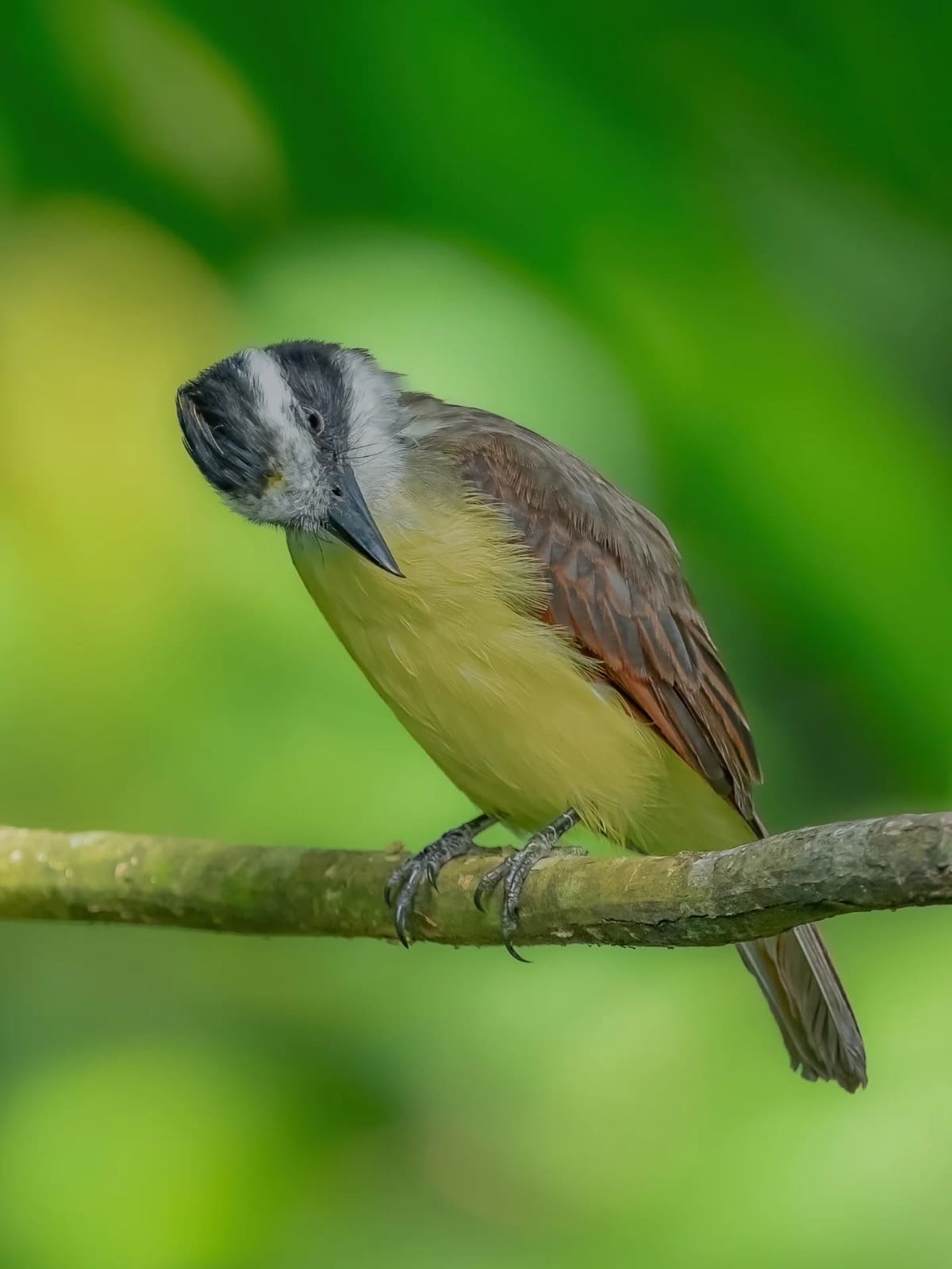 Costa Rica nature tour photo