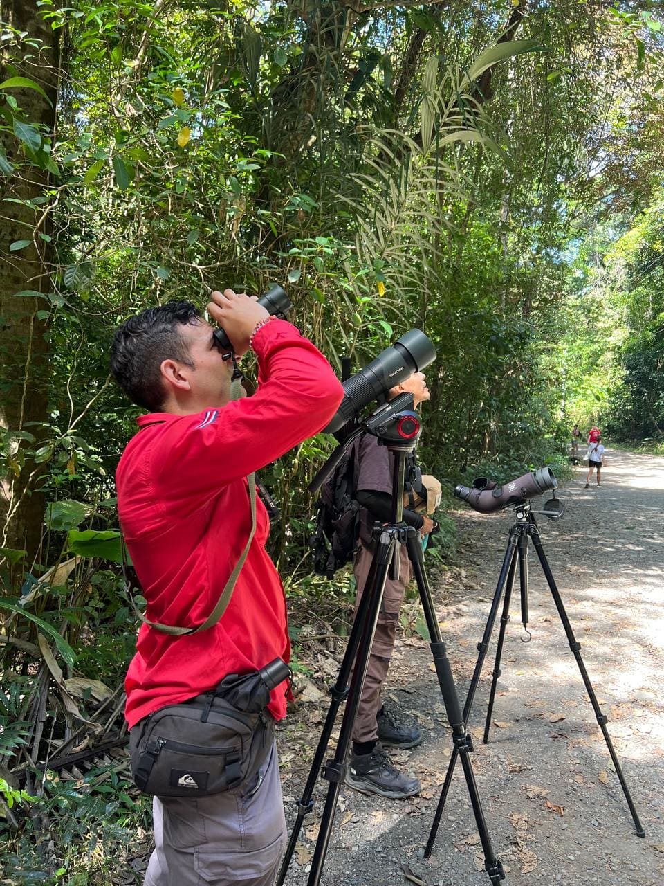 Costa Rica nature tour photo