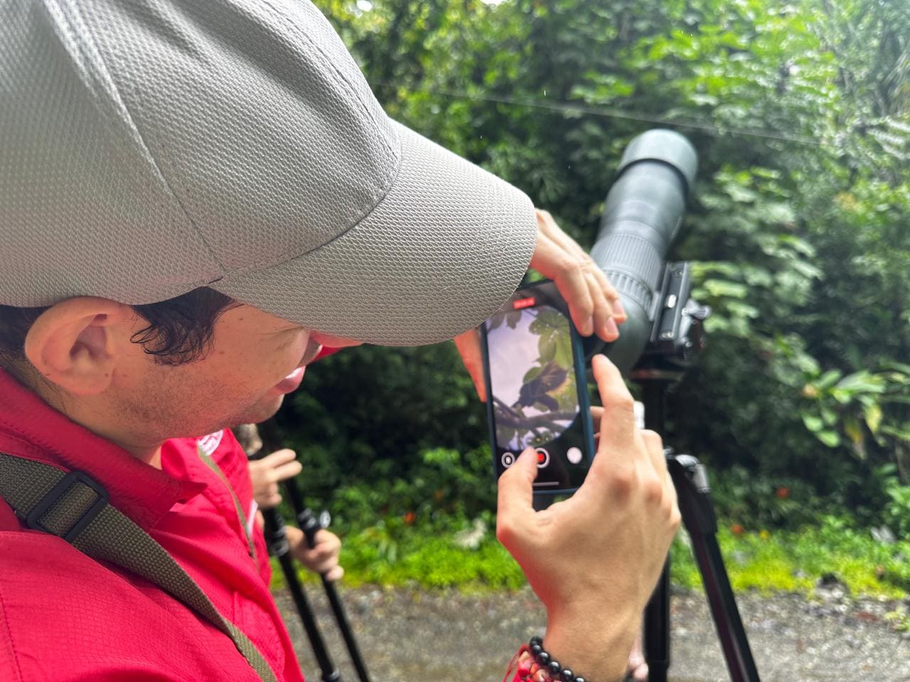 Costa Rica nature tour photo