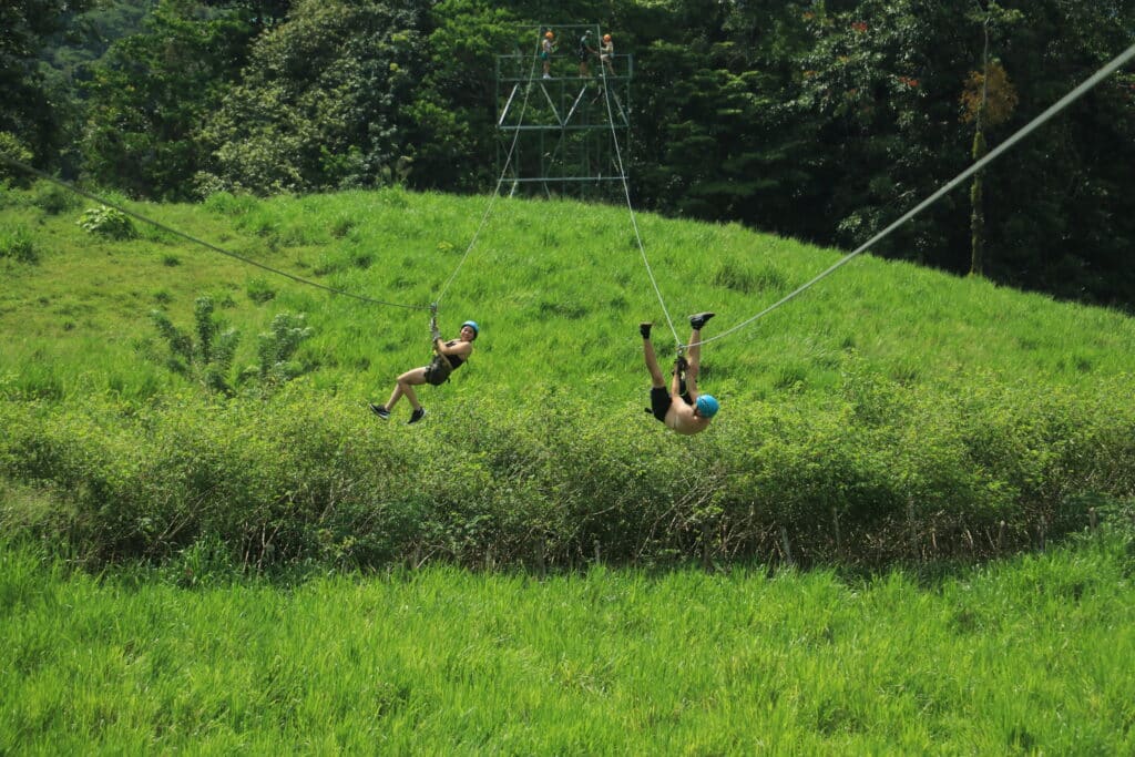 Rainforest Falls Canyoning – Pure Trek