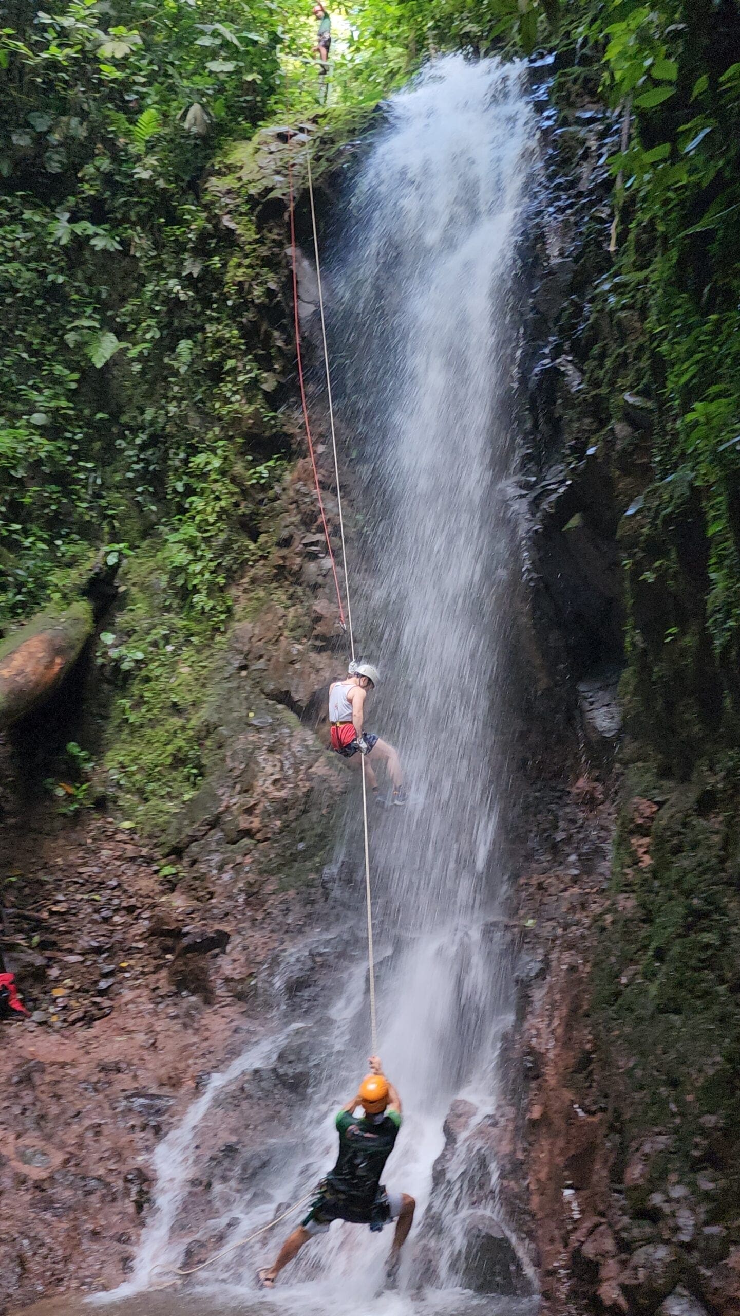 Guide setting up rappel ropes at Maquique canyoning Costa Rica