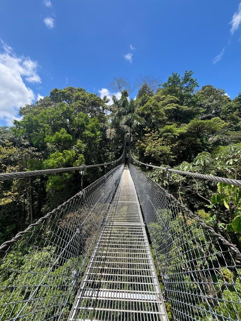 Mistico Hanging Bridges