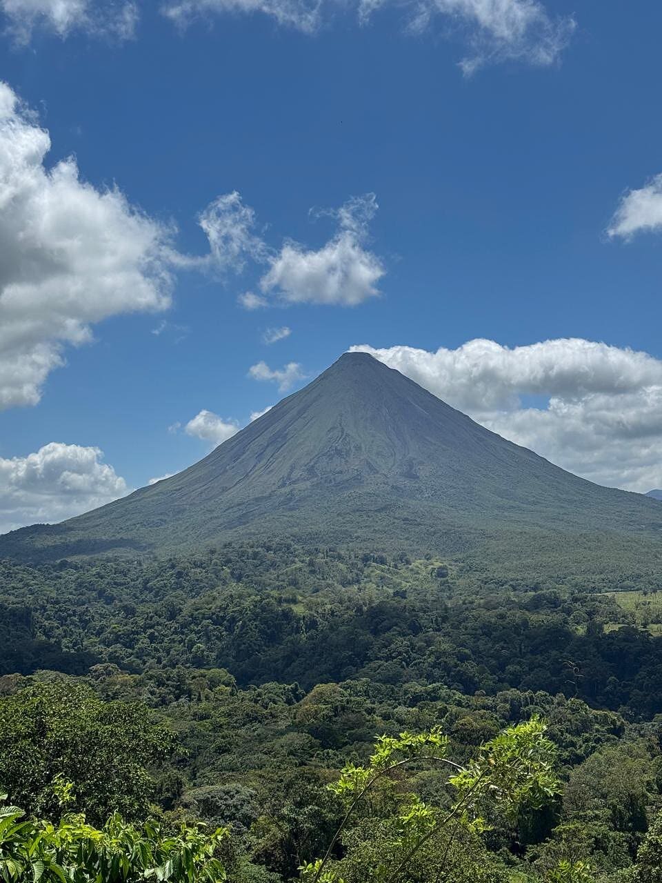 Couple admiring the canopy from a Mistico hanging bridge