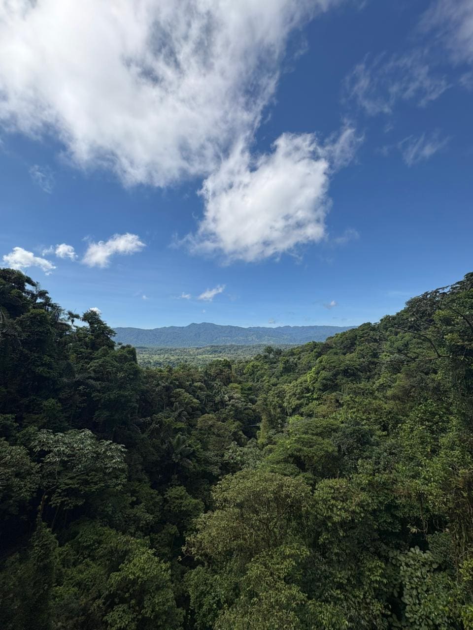 La Fortuna — Canopy