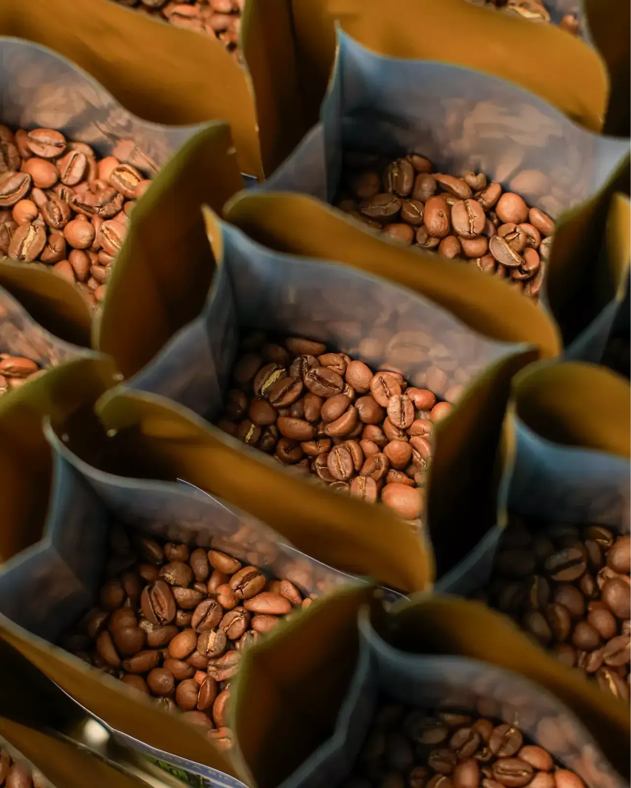 Northfields coffee and chocolate farm tour, La Fortuna