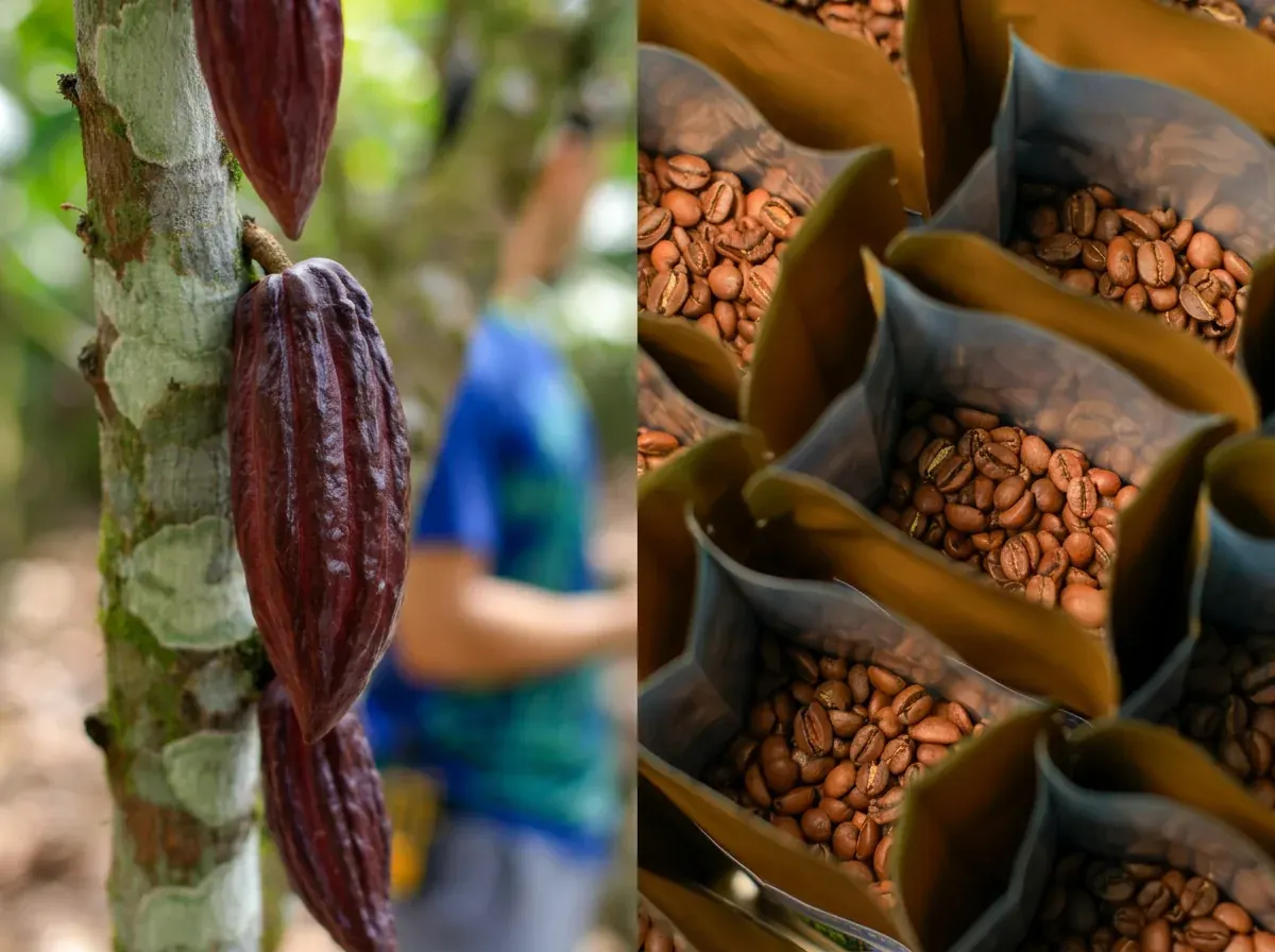 Don Juan – Coffee & Chocolate Tour