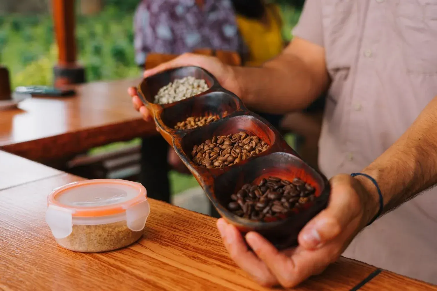 Northfields coffee and chocolate farm tour, La Fortuna