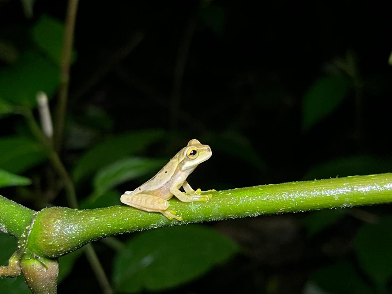 Group photo at Papa's Place rainforest reserve