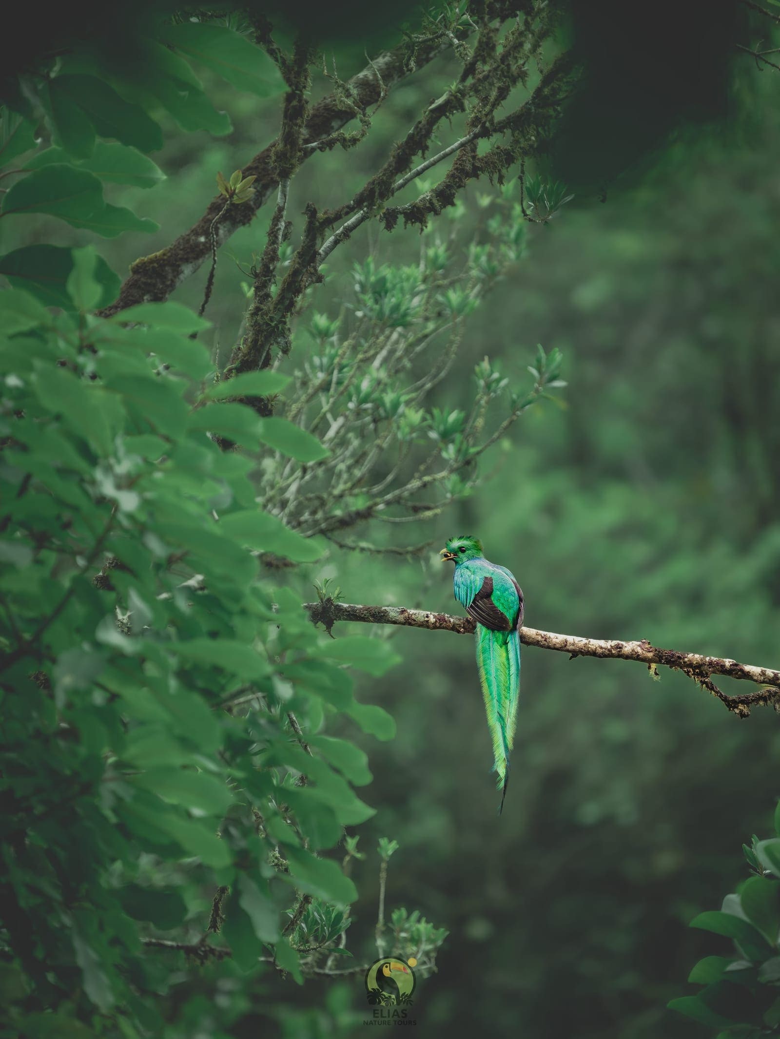 Costa Rica nature tour photo