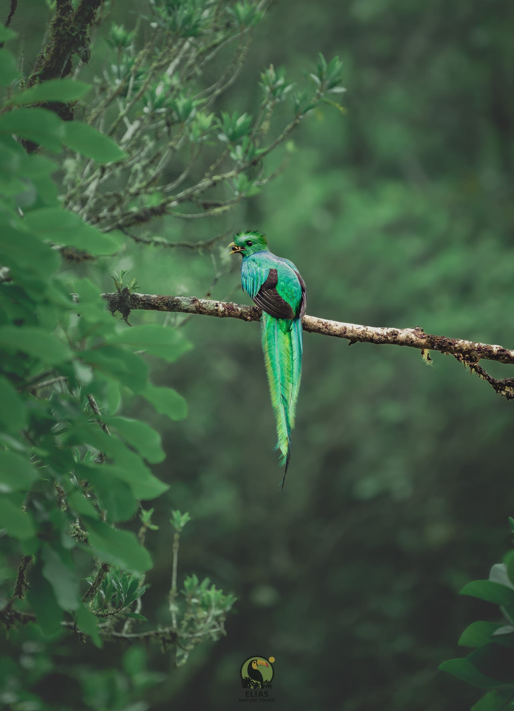 Costa Rica nature tour photo