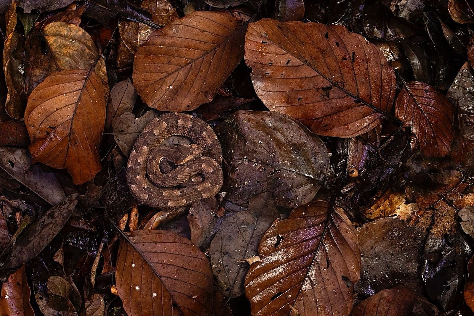 Costa Rica nature tour photo