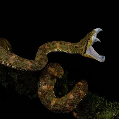 Costa Rica nature tour photo
