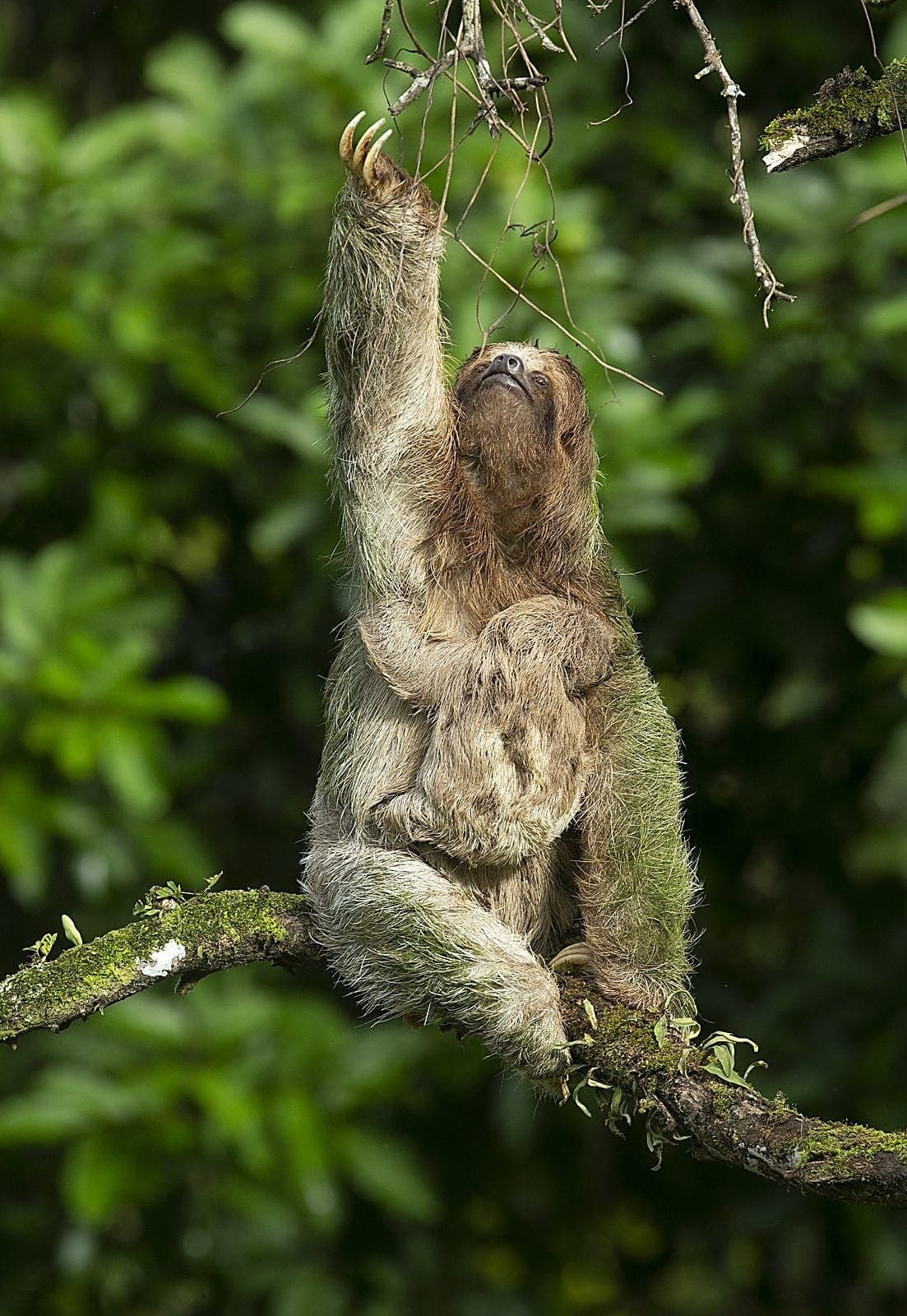 Costa Rica nature tour photo