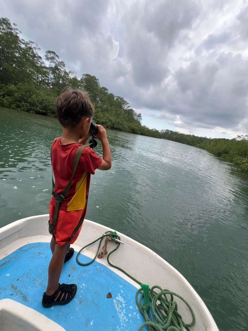 Young guest photographing wildlife from the boat on the Damas mangrove tour