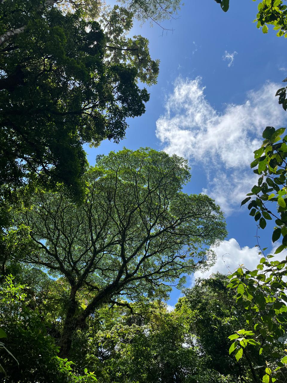 La Fortuna to Monteverde Costa Rica transfer route