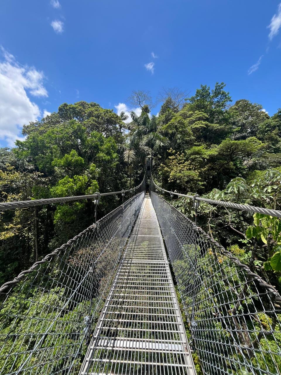 Mistico Hanging Bridges birding — La Fortuna Arenal Costa Rica